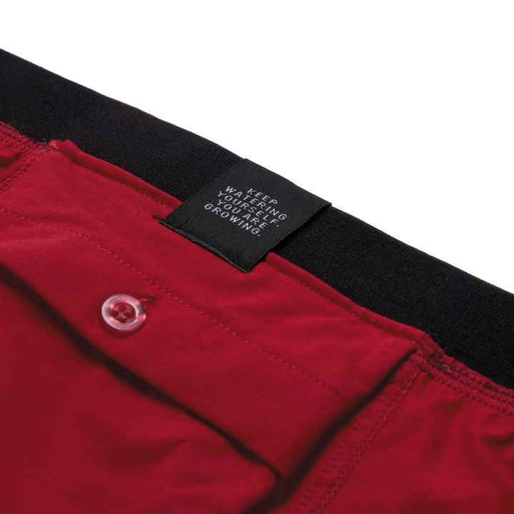 Dark Red All-In-One Packing Boxers - Paxsies