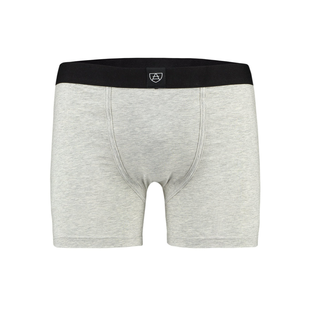 Grey all-in-one packing boxers - Paxsies