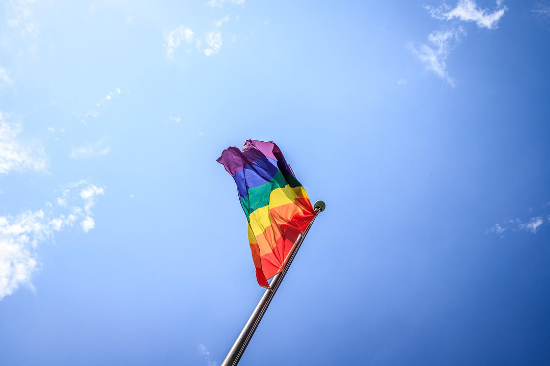 More Than A Rainbow: 27 LGBTQIA+ Pride Flags And What They Mean - Paxsies